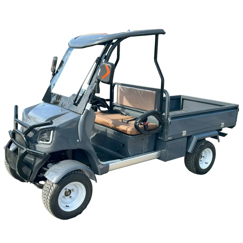 Carro de golfe Carro utilitário